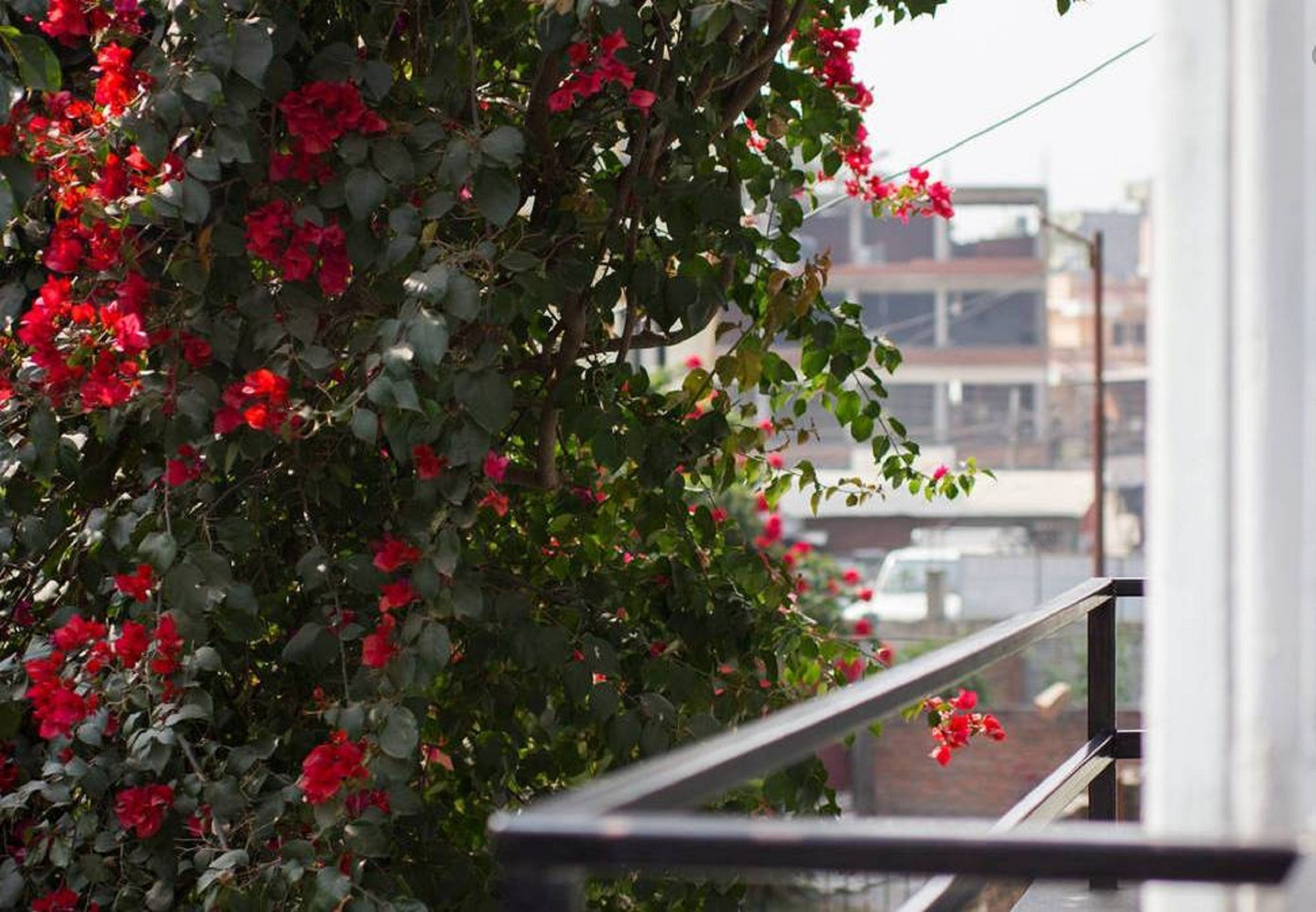Le Rhododendron Chambres D'Hotes Kathmandu Buitenkant foto